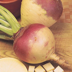 Unbranded Swede Angela Seeds