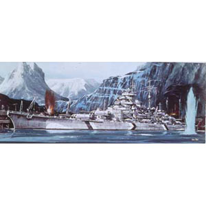 Unbranded Tirpitz plastic kit 1:570