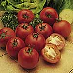 Unbranded Tomato Alicante Kit