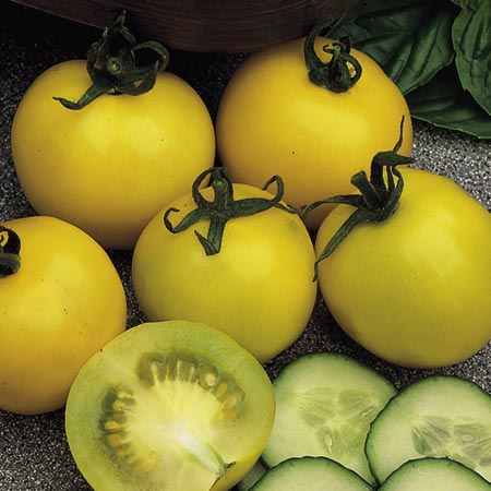 Unbranded Tomato Golden Sunrise Seeds Average Seeds 80