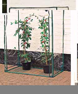 Tomato Growbag/Greenhouse