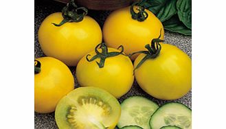 Unbranded Tomato Seeds - Golden Sunrise