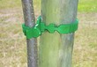 Unbranded Tree Ties