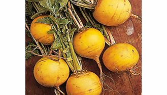 Unbranded Turnip Golden Ball Seeds