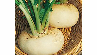 Unbranded Turnip Seeds - Model White