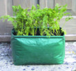 Unbranded Vegetable Planter (set of 3)