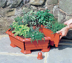 Victorian Herb Garden