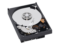 WD Caviar GP WD10EACS - Hard drive - 1 TB - internal - 3.5 - SATA-300 - 7200 rpm - buffer: 16 MB