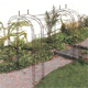 Unbranded Wrought Iron Pergola