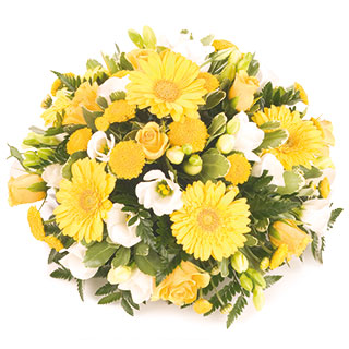 Unbranded Yellow Posy