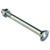 Zinc Coach Bolt M10 X 150 With Nut