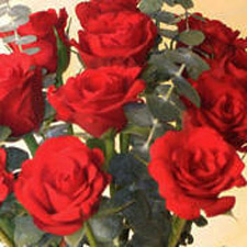 Red Roses