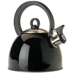 Stainless Steel Kettle