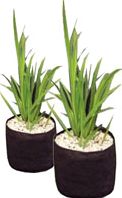 Velda Round Pond Planting Bag 25x20cm