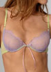 Chantilly Verdi underwired bra