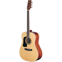 D10S Left Hand Acoustic Guitar