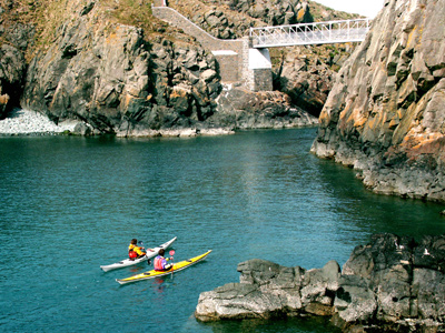 At Sea With The Seals (Kayaking)