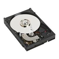 160GB Caviar 8MB Hard Disk Drive 7200rpm ATA100(JB) oem