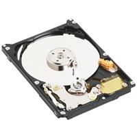 Western Digital 250GB Scorpio 2.5 EIDE 5400rpm 8MB