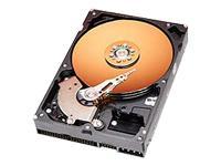 Caviar 160Gb 8Mb Cache Hard Disk Drive ATA 100