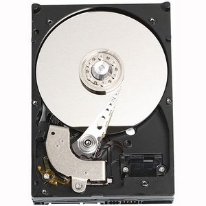 Western Digital Caviar SE SE WD3200AAJB 320 GB