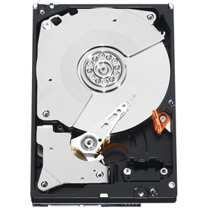 Western Digital WD1003FBYX 1 TB Internal Hard