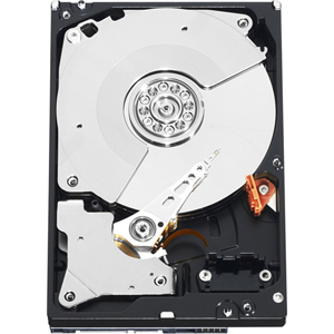 Western Digital WD5003ABYX 500 GB Internal Hard