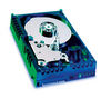 Hard drive Raptor 74 Gb Bulk ((WD360GD)