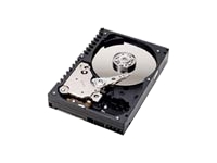 Raptor 74Gb 8Mb Cache Hard Disk Drive Serial ATA