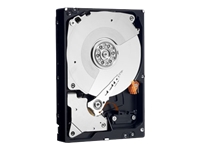 WD 2TB 7200RPM 64MB 24X7 SATA 3GBS 3.5