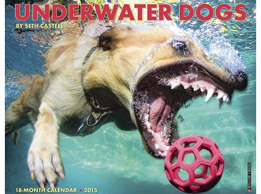 Underwater Dogs Calendar