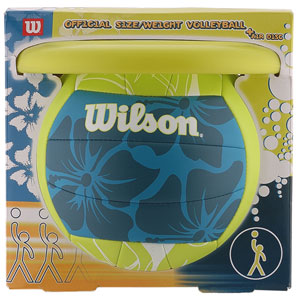 Volleyball and Air Disk Pack