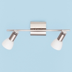 Don Nickel Matt Ceiling Light with 2 Spots