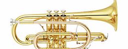 YCR8335 Neo Bb Cornet