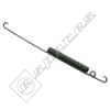 Zanussi Hinge Spring