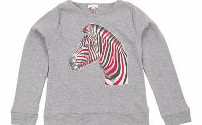 Miss Zebra T-shirt Light grey `2 years,4 years,6